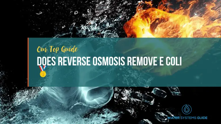 Does Reverse Osmosis Remove E Coli