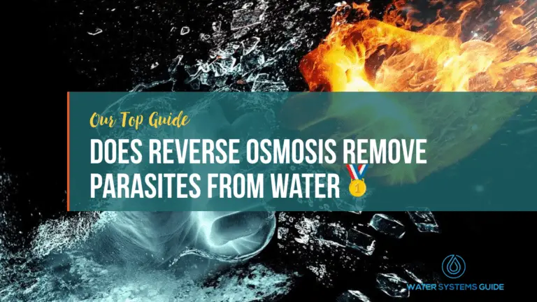 Does Reverse Osmosis Remove Parasites From Water